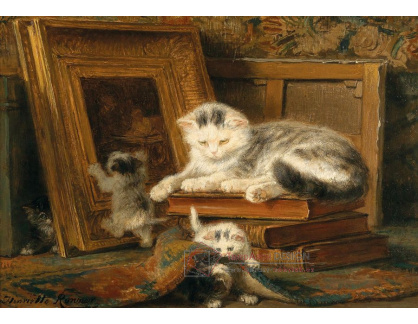 D-9432 Henriette Ronner Knip - Hra na schovávanou