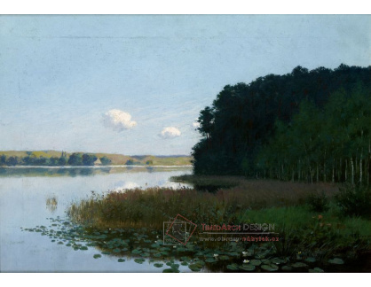 A-4456 Stanisław Witkiewicz - Jezero s lekníny
