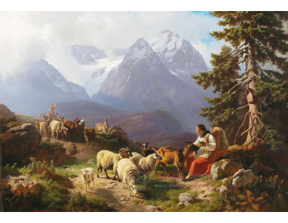 DDSO-4201 Robert Eberle - Stádo ovcí vracející se domů