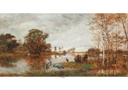 D-6557 Hugo Charlemont - Volavky na břehu řeky