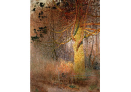 A-7968 Emile Claus - Strom na slunci