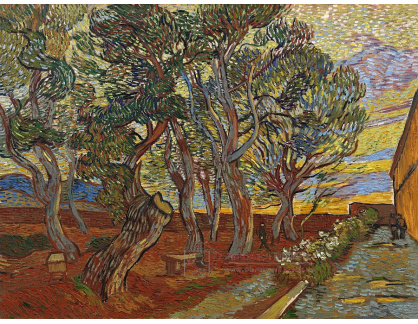 VR2-132 Vincent van Gogh - Zahrada nemocnice Saint-Paul
