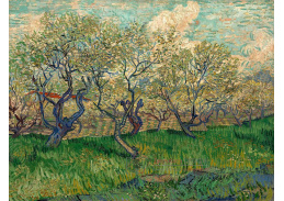 VR2-70 Vincent van Gogh - Kvetoucí ovocný sad