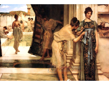 VANG40 Lawrence Alma-Tadema - Frigidarium