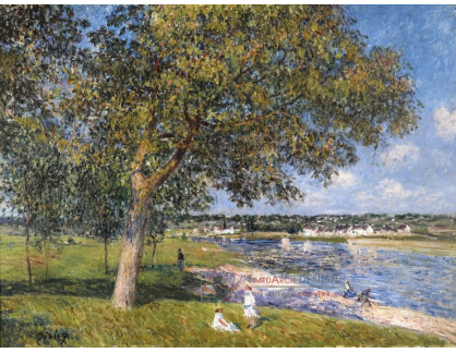 KO III-20 Alfred Sisley - Ořešák v Thomery