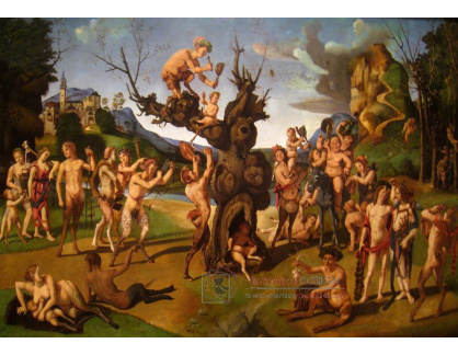 SO V-354 Piero di Cosimo - Nalezení medu