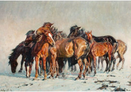 SO XVI-114 Alfred Roloff - Stádo koní