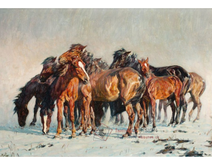 SO XVI-114 Alfred Roloff - Stádo koní