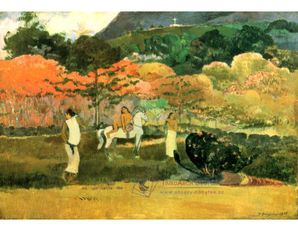 A-126 Paul Gauguin - Žena na koni