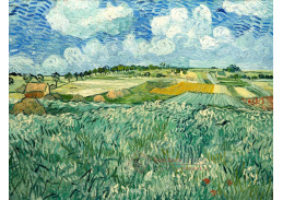 VR2-310 Vincent van Gogh - Rovina v blízkosti Auvers