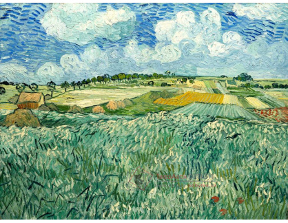 VR2-310 Vincent van Gogh - Rovina v blízkosti Auvers