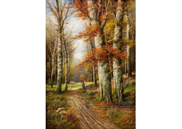 DDSO-2042 Karl Kaufmann - Sběračka dřeva v podzimním lese