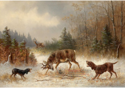 KO IV-454 Moritz Müller - Na lovu jelena