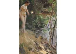 A-4732 Anders Zorn - Modelka u vody