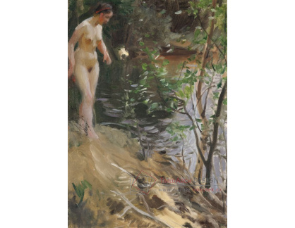 A-4732 Anders Zorn - Modelka u vody