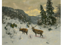 A-8709 Josef Schmitzberger - Jeleni na sněhu
