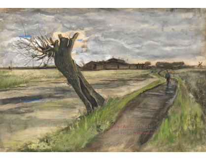 A-3213 Vincent van Gogh - Vrba