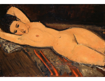D-6995 Amedeo Modigliani - Ležící ženský akt