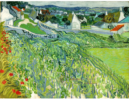 VR2-263 Vincent van Gogh - Vinice v Auvers