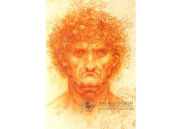 VR1-14 Leonardo da Vinci - Studie mužské hlavy