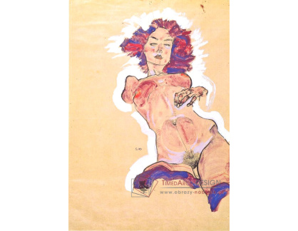 VES 189 Egon Schiele - Ženský akt