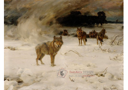 DDSO-439 Alfred von Wierusz-Kowalski - Vlci ve sněhové bouři