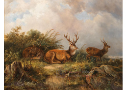 A-5061 Carl Friedrich Ockert - Odpočívající jeleni