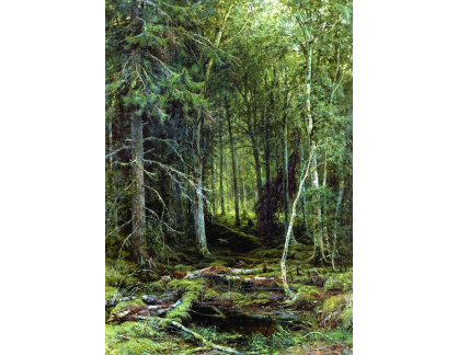 A-5748 Ivan Šiškin - Podmáčená lesní krajina