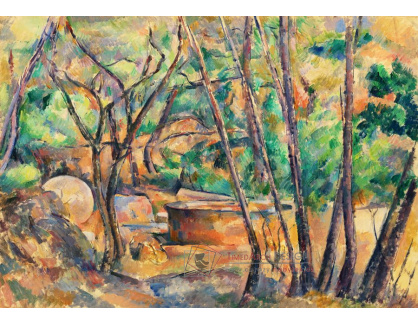 D-7523 Paul Cézanne - Pod stromy