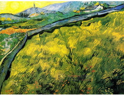 VR2-185 Vincent van Gogh - Oseté pole při východu slunce