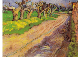VR2-260 Vincent van Gogh - Cesta lemovaná vrbami