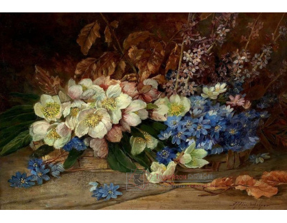 VKZ 263 Franz Hinterholzer - Zátiší s jarními květinami