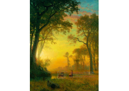 XV-54 Albert Bierstadt - Světlo v lese