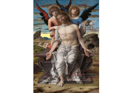 XV-118 Andrea Mantegna - Kristus a jeho utrpení