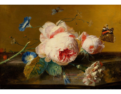 A-1335 Jan van Huijsum - Zátiší s květinami a motýlem