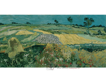 D-8410 Vincent van Gogh - Rovina v Auvers