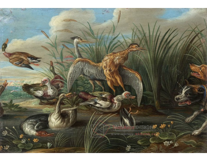 D-6660 Jan Kessel - Hejno ptáků u jezera překvapené psy