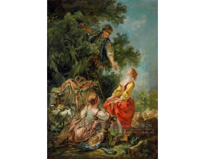 D-6230 Francois Boucher - Obírání třešní