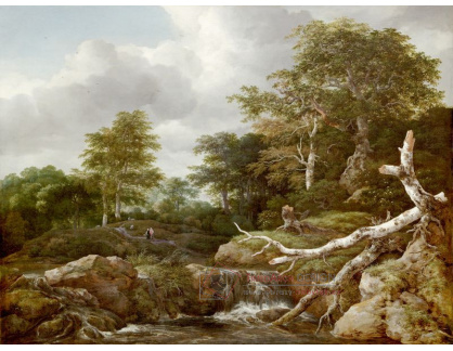 D-8176 Jacob van Ruisdael - Lesní scéna