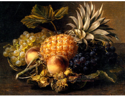 SO V-144 Johan Laurentz Jensen - Zátiší s ovocem a lískovými ořechy
