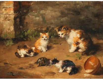 A-5046 Arthur-Alfred Brunel de Neuville - Zvědavé kotě s želvou