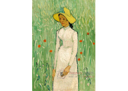 D-8080 Vincent van Gogh - Dívka v bílém