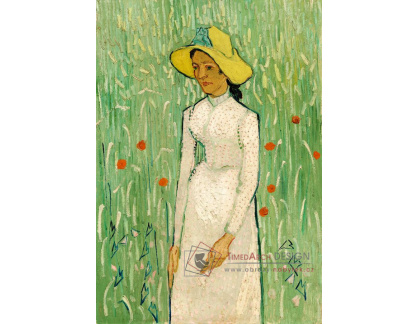 D-8080 Vincent van Gogh - Dívka v bílém