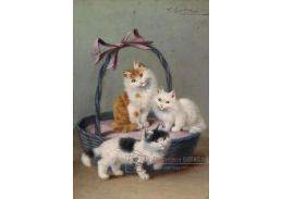 SO VII-402 Josef Sperrlich - Tři koťata