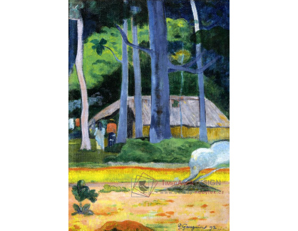 KO V-122 Paul Gauguin - Dům mezi stromy