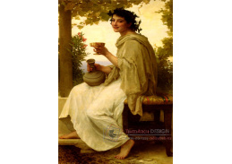 VR15-9 Adolph William Bouguereau - Bacchante