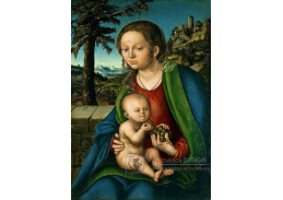 VlCR-96 Lucas Cranach - Madonna a dítě s hroznem