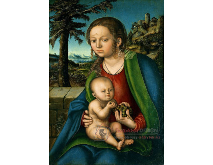 VlCR-96 Lucas Cranach - Madonna a dítě s hroznem