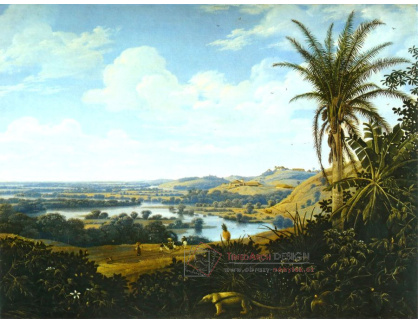 VSO 586 Frans Post - Brazilská krajina s mravenečníkem