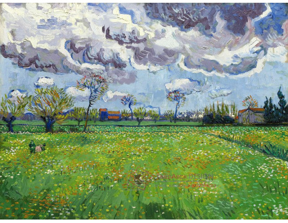VR2-279 Vincent van Gogh - Louka s květinami a bouřkovým nebem